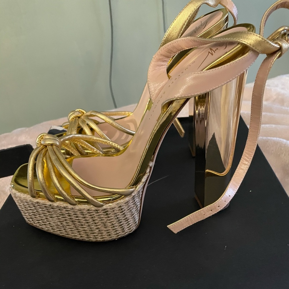 Giuseppe Zanotti Lavinia